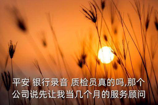 平安 銀行錄音 質(zhì)檢員真的嗎,那個(gè)公司說(shuō)先讓我當(dāng)幾個(gè)月的服務(wù)顧問