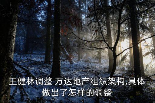 王健林調(diào)整 萬達地產(chǎn)組織架構,具體做出了怎樣的調(diào)整