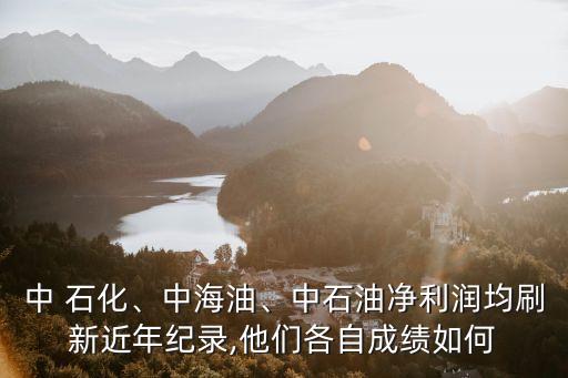 中 石化、中海油、中石油凈利潤均刷新近年紀(jì)錄,他們各自成績?nèi)绾? class=