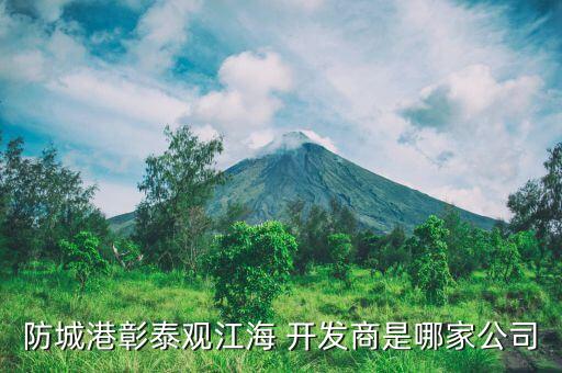 成都金牛正惠房地產(chǎn)開(kāi)發(fā)有限公司