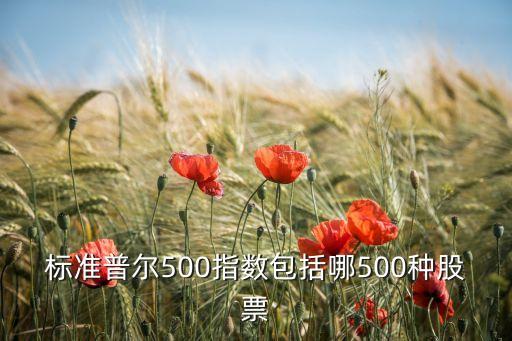 標準普爾500指數包括哪500種股票
