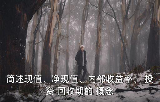 簡(jiǎn)述現(xiàn)值、凈現(xiàn)值、內(nèi)部收益率、 投資 回收期的 概念