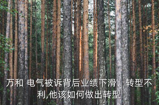 萬和 電氣被訴背后業(yè)績下滑、轉(zhuǎn)型不利,他該如何做出轉(zhuǎn)型