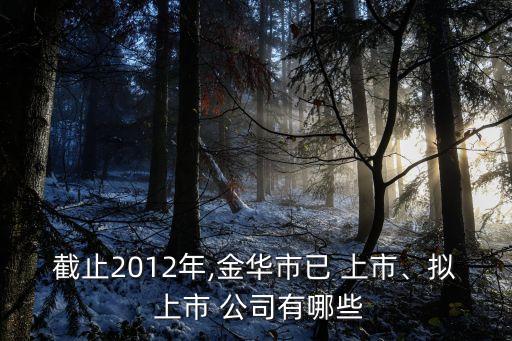 截止2012年,金華市已 上市、擬 上市 公司有哪些
