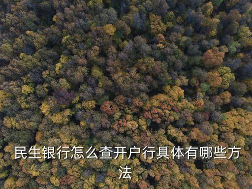  民生銀行怎么查開(kāi)戶行具體有哪些方法