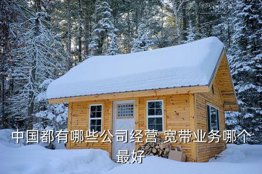 中國都有哪些公司經(jīng)營(yíng) 寬帶業(yè)務(wù)哪個(gè)最好