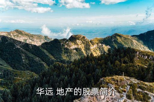 名流置業(yè)集團武漢地產公司,武漢地鐵集團地產公司