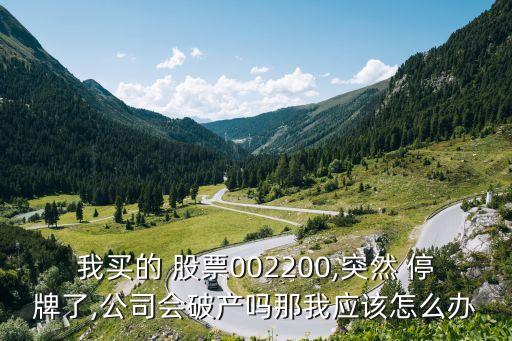 我買的 股票002200,突然 停牌了,公司會破產(chǎn)嗎那我應該怎么辦