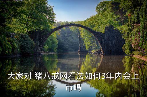 大家對 豬八戒網(wǎng)看法如何3年內(nèi)會(huì)上市嗎