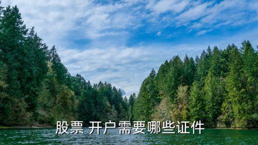 股票 開(kāi)戶需要哪些證件