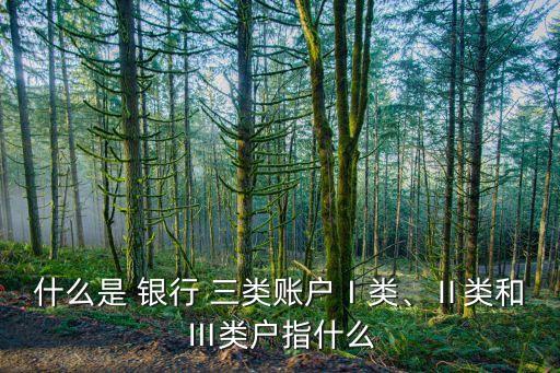 什么是 銀行 三類賬戶Ⅰ類、Ⅱ類和Ⅲ類戶指什么