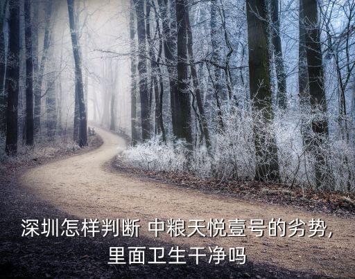 深圳怎樣判斷 中糧天悅壹號(hào)的劣勢,里面衛(wèi)生干凈嗎