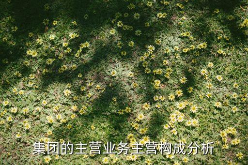 暴風集團的主營業(yè)務主營構成分析