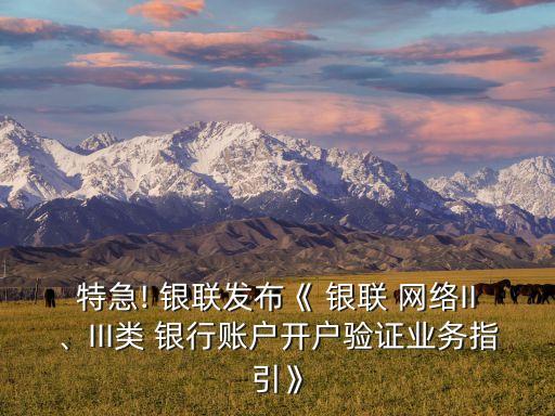 特急! 銀聯(lián)發(fā)布《 銀聯(lián) 網(wǎng)絡(luò)II、III類(lèi) 銀行賬戶(hù)開(kāi)戶(hù)驗(yàn)證業(yè)務(wù)指引》