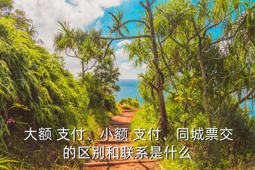  大額 支付、小額 支付、同城票交的區(qū)別和聯(lián)系是什么
