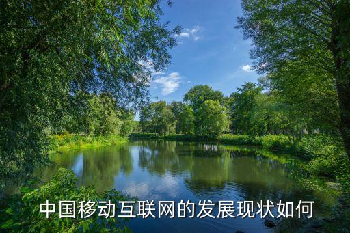  中國移動互聯(lián)網的發(fā)展現(xiàn)狀如何