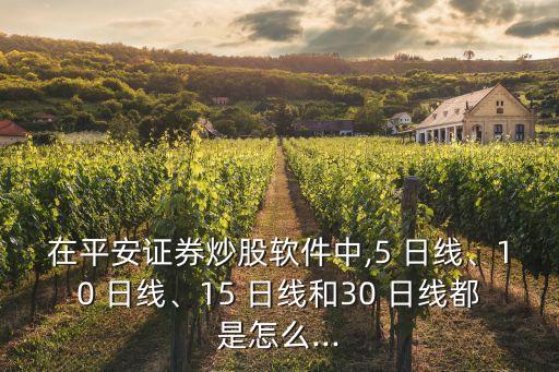 在平安證券炒股軟件中,5 日線、10 日線、15 日線和30 日線都是怎么...