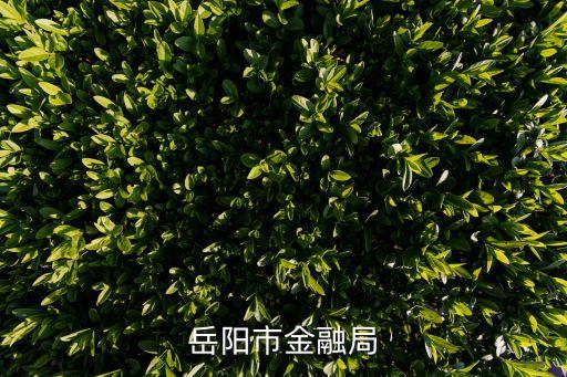 岳陽(yáng)市金融局