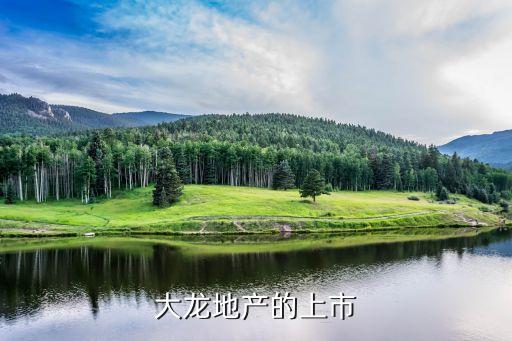 大龍地產的上市
