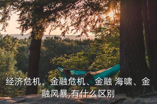 經(jīng)濟(jì)危機(jī)、金融危機(jī)、金融 海嘯、金融風(fēng)暴,有什么區(qū)別