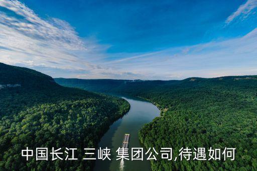 三峽集團領(lǐng)導(dǎo)調(diào)整,三峽長江生態(tài)環(huán)保集團領(lǐng)導(dǎo)