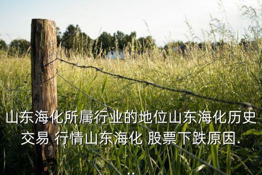山東?；鶎傩袠I(yè)的地位山東?；瘹v史交易 行情山東?；?股票下跌原因...