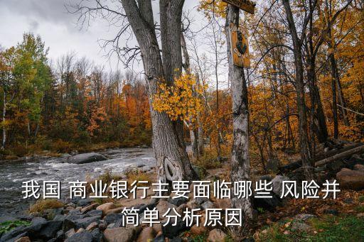 中國商業(yè)銀行信用風(fēng)險,商業(yè)銀行信用風(fēng)險的基本特點(diǎn)