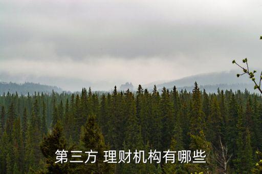 專(zhuān)業(yè)理財(cái)投資公司,最安全的p2p理財(cái)投資公司