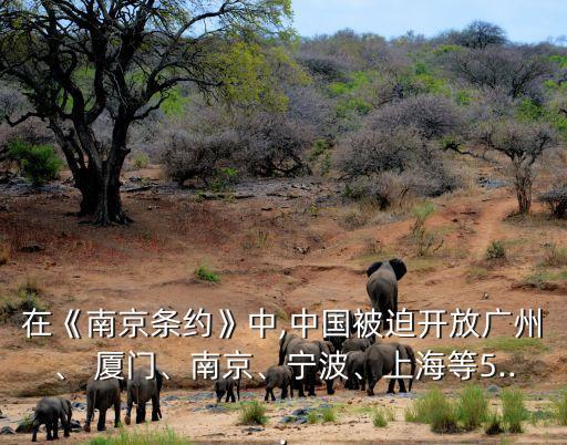 在《南京條約》中,中國被迫開放廣州、 廈門、南京、寧波、上海等5...