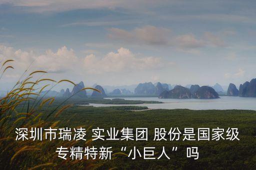 深圳市瑞凌 實(shí)業(yè)集團(tuán) 股份是國家級(jí)專精特新“小巨人”嗎