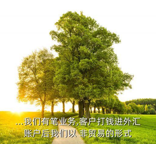 ...我們有筆業(yè)務(wù),客戶打錢(qián)進(jìn)外匯賬戶后我們以 非貿(mào)易的形式