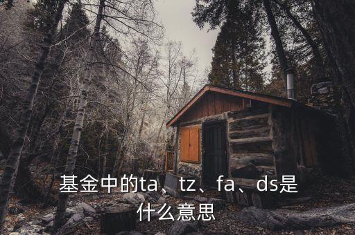  基金中的ta、tz、fa、ds是什么意思