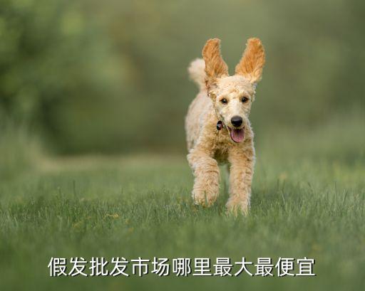 瑞貝卡公司400電話(huà)