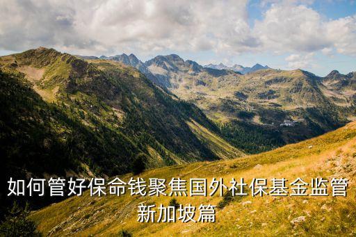 如何管好保命錢聚焦國外社?；鸨O(jiān)管新加坡篇