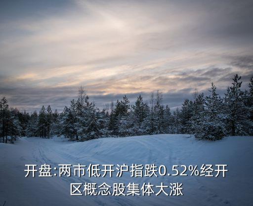 開盤:兩市低開滬指跌0.52%經開區(qū)概念股集體大漲