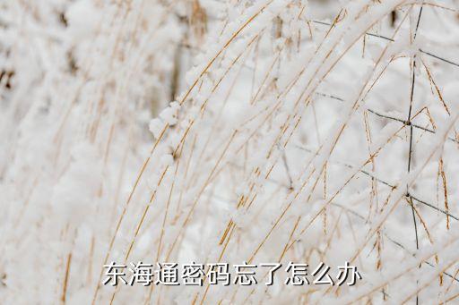 東?；鸸?/></a></span><span id=