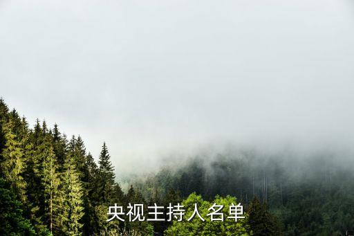 中國經濟新聞聯播視點頻道,傅寶云中國經濟新聞聯播