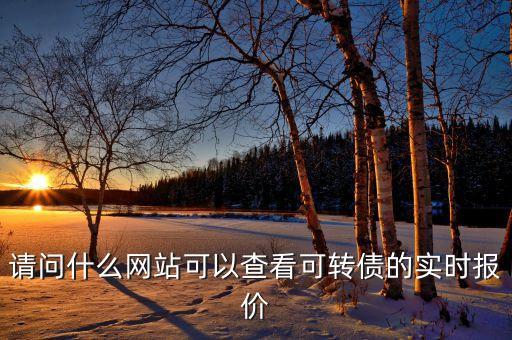 請問什么網(wǎng)站可以查看可轉(zhuǎn)債的實(shí)時報價