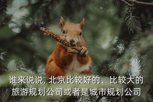 誰(shuí)來(lái)說(shuō)說(shuō), 北京比較好的、比較大的旅游規(guī)劃公司或者是城市規(guī)劃公司