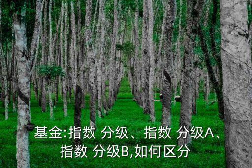  基金:指數(shù) 分級、指數(shù) 分級A、指數(shù) 分級B,如何區(qū)分