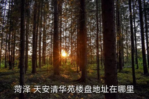 菏澤 天安清華苑樓盤(pán)地址在哪里