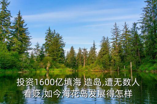 投資1600億填海 造島,遭無數(shù)人看貶,如今?；◢u發(fā)展得怎樣