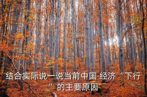 結(jié)合實(shí)際說一說當(dāng)前中國(guó) 經(jīng)濟(jì)“下行”的主要原因