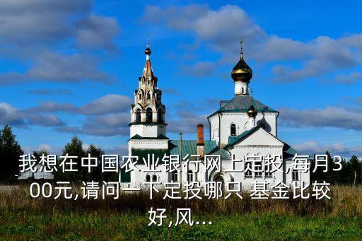 我想在中國農業(yè)銀行網上定投,每月300元,請問一下定投哪只 基金比較好,風...