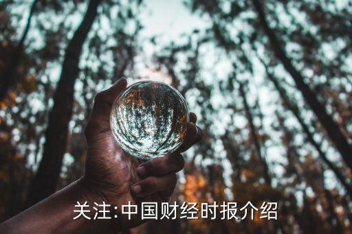 關注:中國財經(jīng)時報介紹