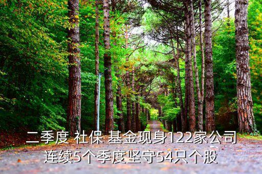 二季度 社保 基金現(xiàn)身122家公司連續(xù)5個季度堅(jiān)守54只個股