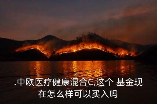 .中歐醫(yī)療健康混合C,這個 基金現在怎么樣可以買入嗎