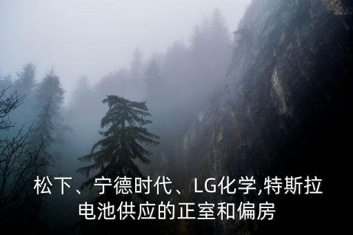  松下、寧德時(shí)代、LG化學(xué),特斯拉電池供應(yīng)的正室和偏房