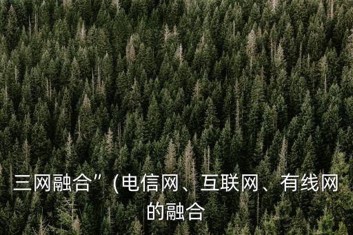 三網(wǎng)融合”(電信網(wǎng)、互聯(lián)網(wǎng)、有線網(wǎng)的融合
