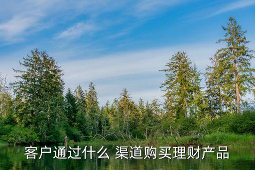 客戶(hù)通過(guò)什么 渠道購(gòu)買(mǎi)理財(cái)產(chǎn)品